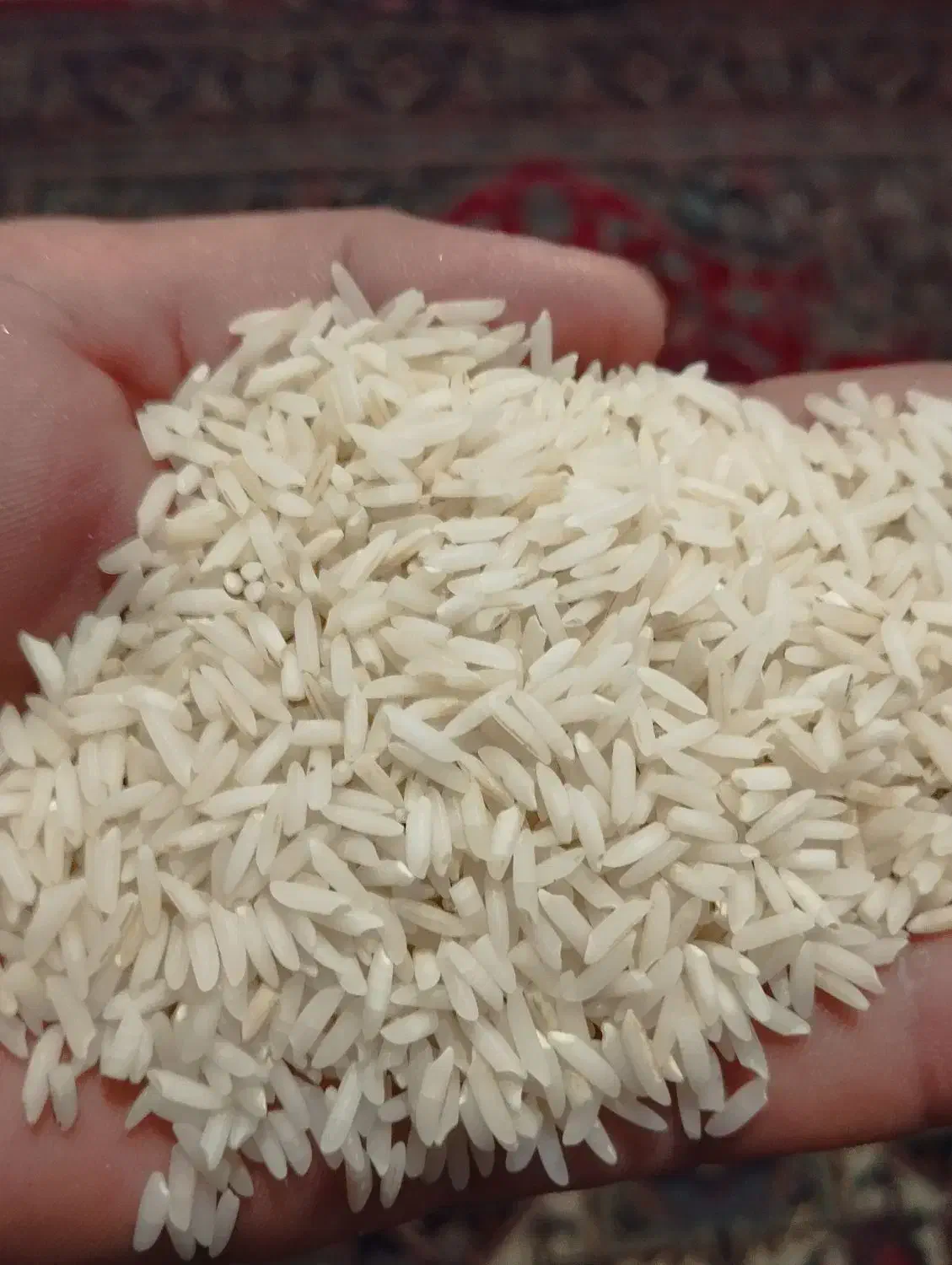 برنج هاشمی محصول شالیزار خودم|خوردنی و آشامیدنی|سنگر, |دیوار