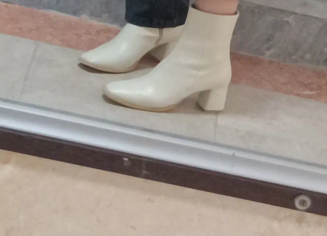 کفش|کیف، کفش، کمربند|شهرکرد, |دیوار