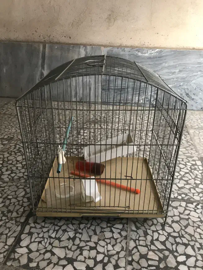 قفس پرنده ۹ عدد.قفس مینا مرغ عشق قناری جوجه پرون|لوازم جانبی حیوانات|تهران, کوی بیمه|دیوار