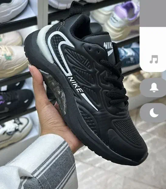 کتونی|کیف، کفش، کمربند|قم, کلهری|دیوار