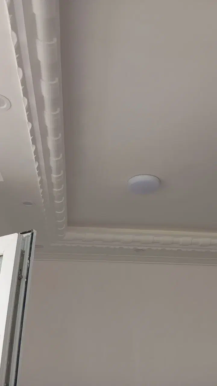 کلیع کارهای گچکاری و تعمیرات|خدمات پیشه و مهارت|بندر گناوه, |دیوار