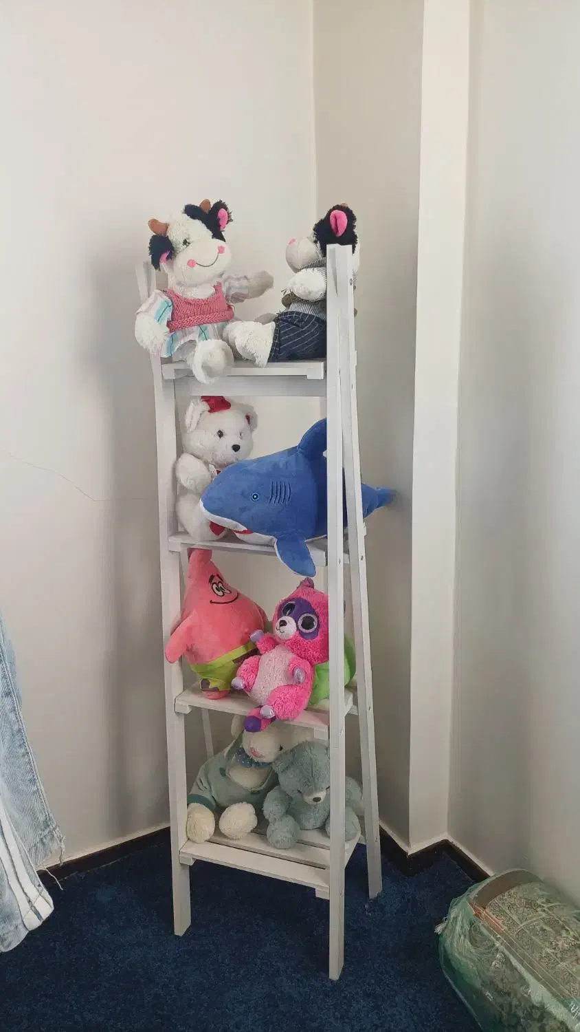 شلف نردبانی|کتابخانه، شلف، قفسه‌های دیواری|پردیس, فاز ۴|دیوار