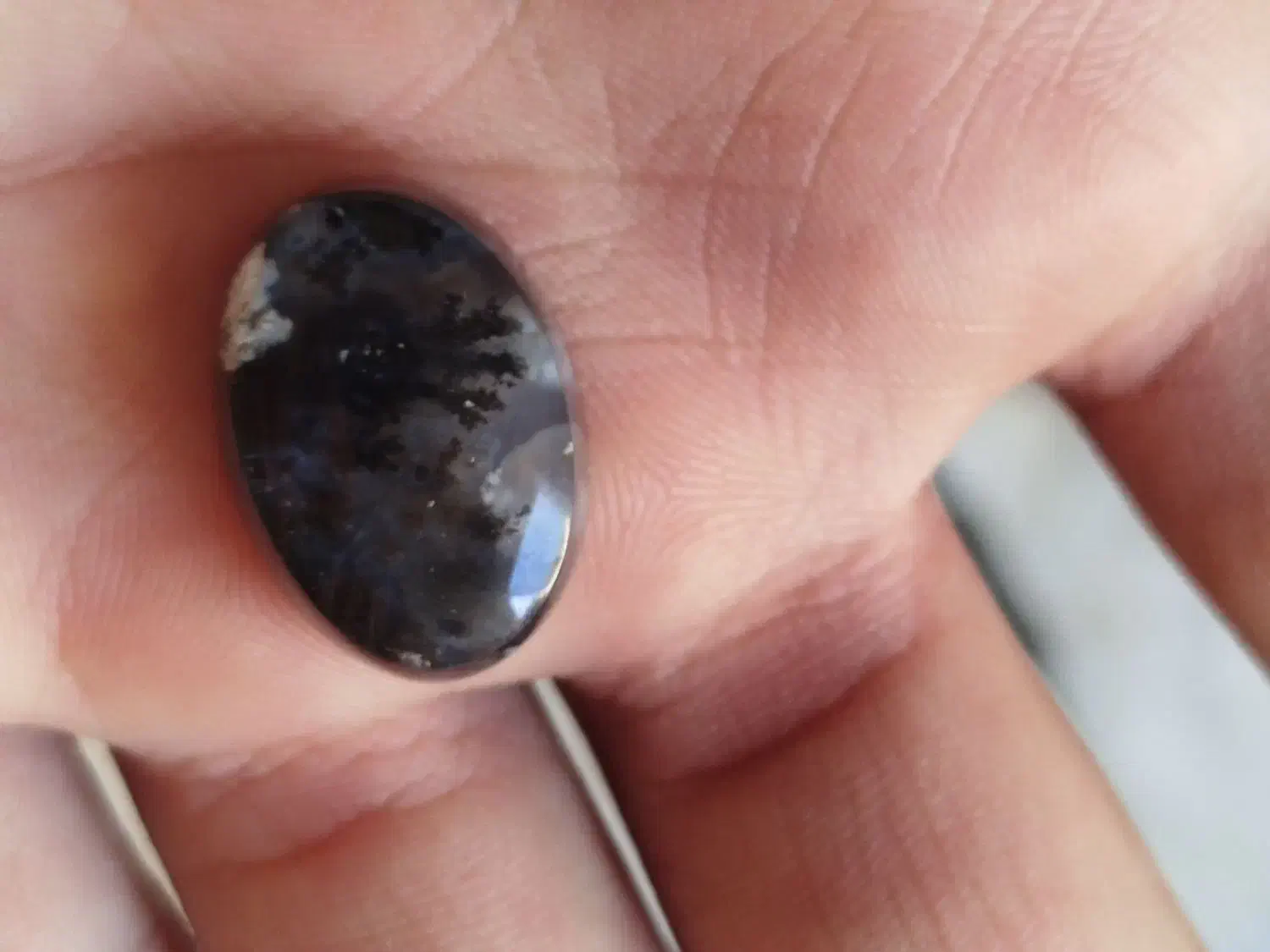 شجر سیاه خراسان|زیورآلات و اکسسوری|یزد, |دیوار