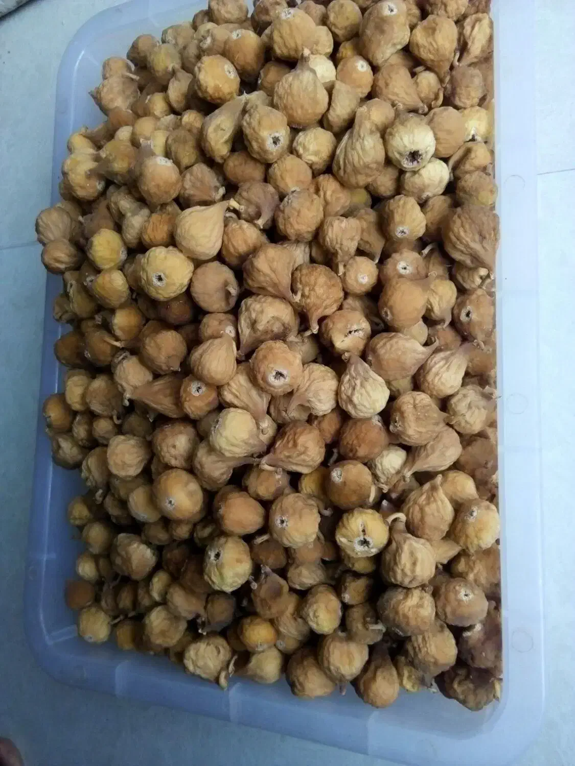 انجیر بش تازه|خوردنی و آشامیدنی|شیراز, مسلم|دیوار
