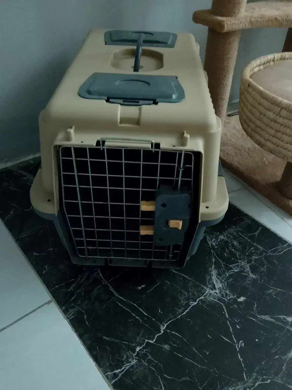 باکس حمل سگ و گربه|لوازم جانبی حیوانات|کرج, حسین‌آباد|دیوار