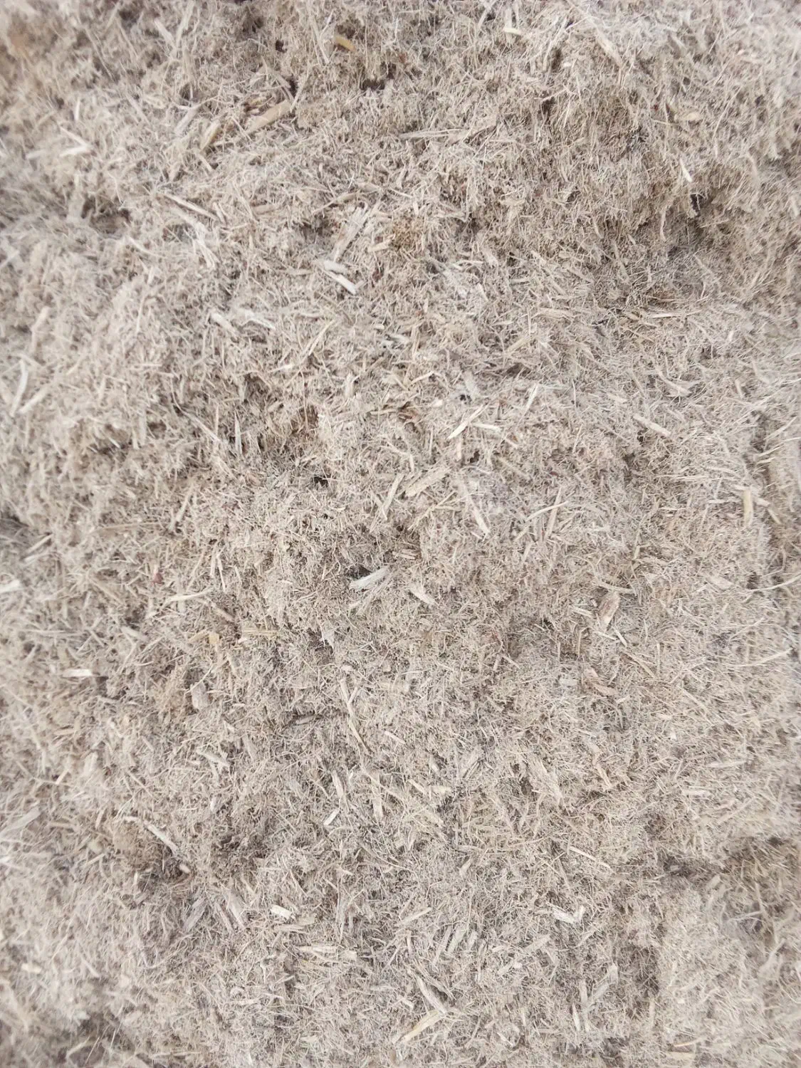 کاه نیشکر|حیوانات مزرعه|ملایر, |دیوار