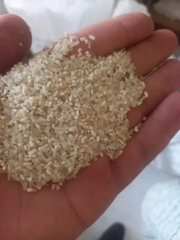 برنج فروشی استراباد|خوردنی و آشامیدنی|کاشمر, |دیوار