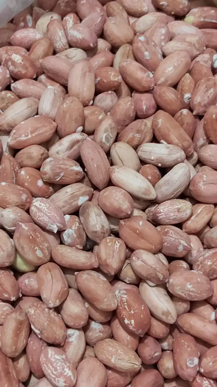 بادام سنگی بادام زمینی آستانه لوبیاچیتی شکلات خرما|خوردنی و آشامیدنی|قم, باسکول|دیوار
