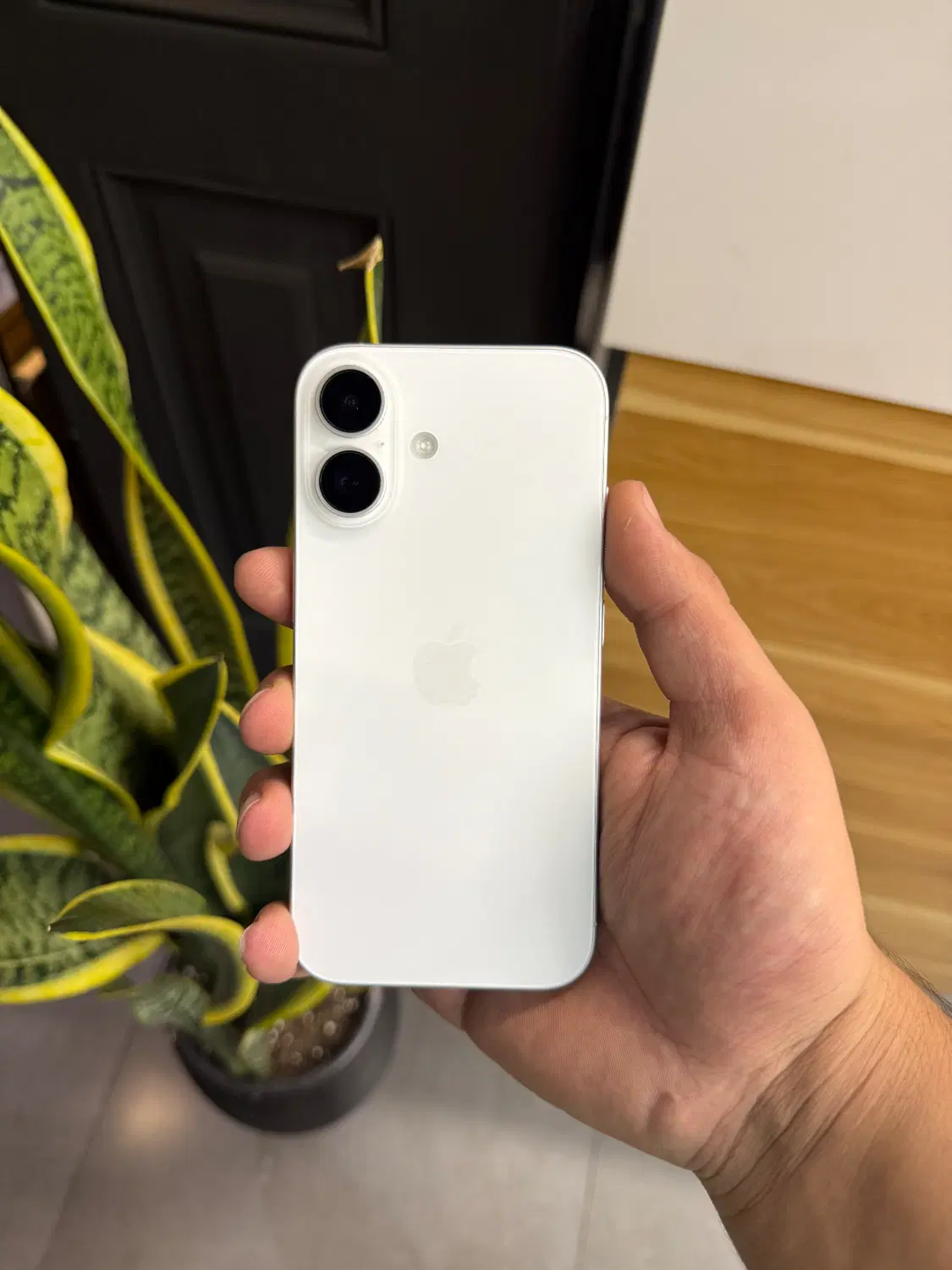 آیفون ۱۶ نرمال سفید iphone 16 normal|موبایل|تهران, شهرک غرب|دیوار