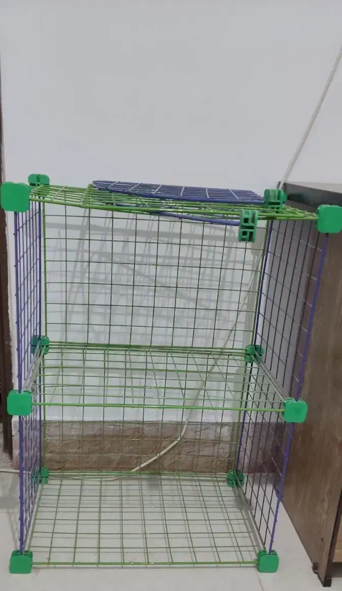 شلف کتاب|کتابخانه، شلف، قفسه‌های دیواری|زابل, |دیوار