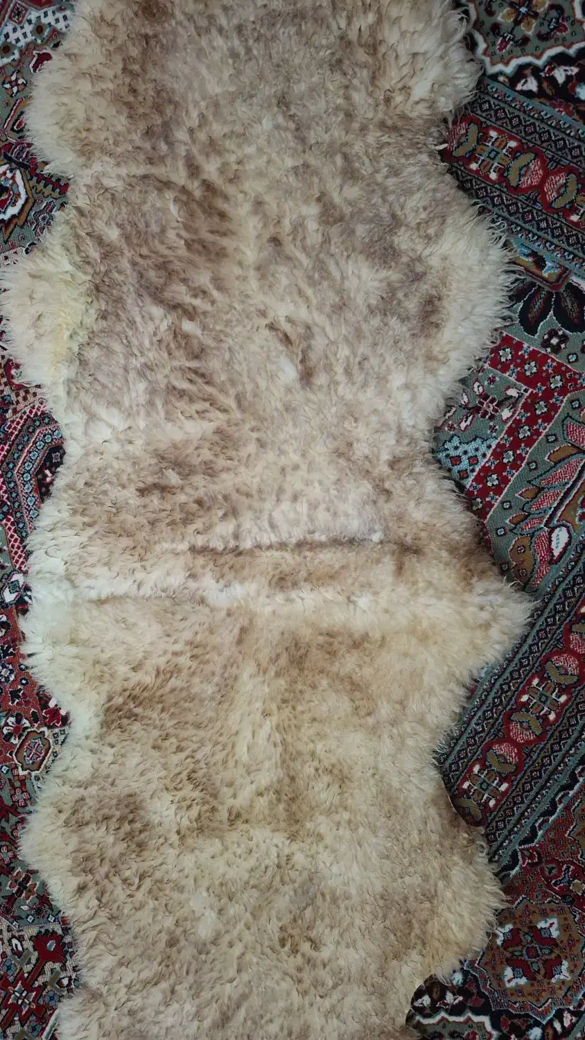 پوست بره (دباغی شده)|صنایع دستی و سایر لوازم تزئینی|کوهپایه, |دیوار