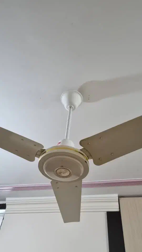 پنکه در حد نو زیر قیمت|پنکه و تصفیه‌کنندهٔ هوا|بهبهان, |دیوار