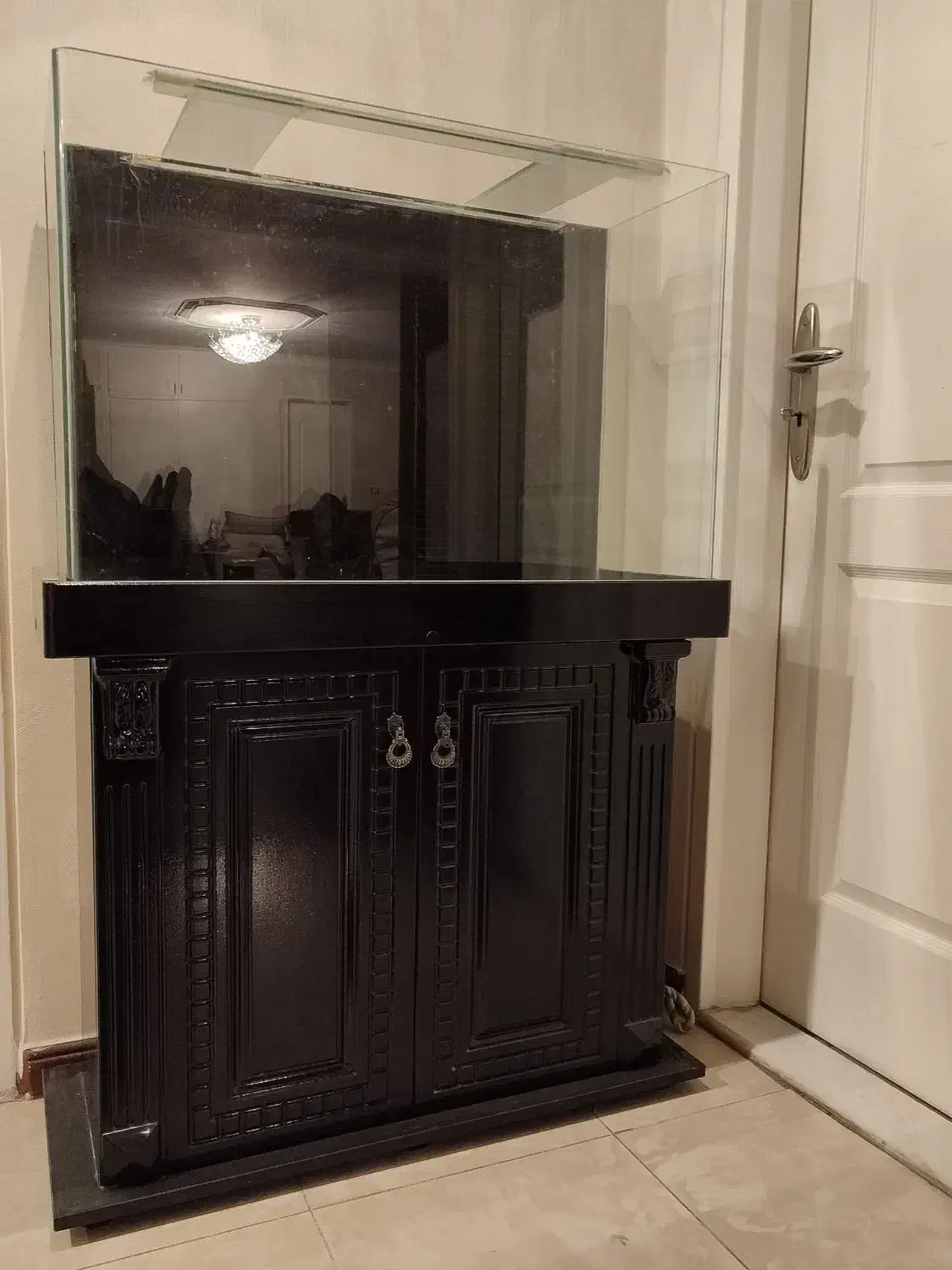 آکواریم|ماهی|تهران, کوی بیمه|دیوار