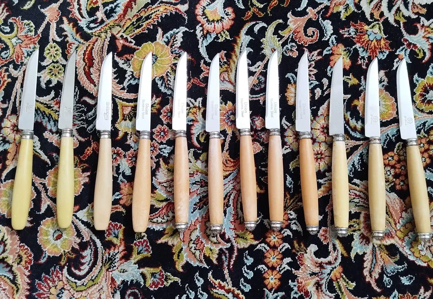 کارد میوه خوری|ظروف سرو و پذیرایی|تهران, بهداشت|دیوار