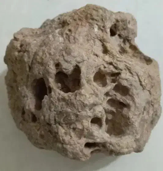 یک عدد سنگ کلکسیونی|کلکسیون اشیاء عتیقه|تبریز, |دیوار