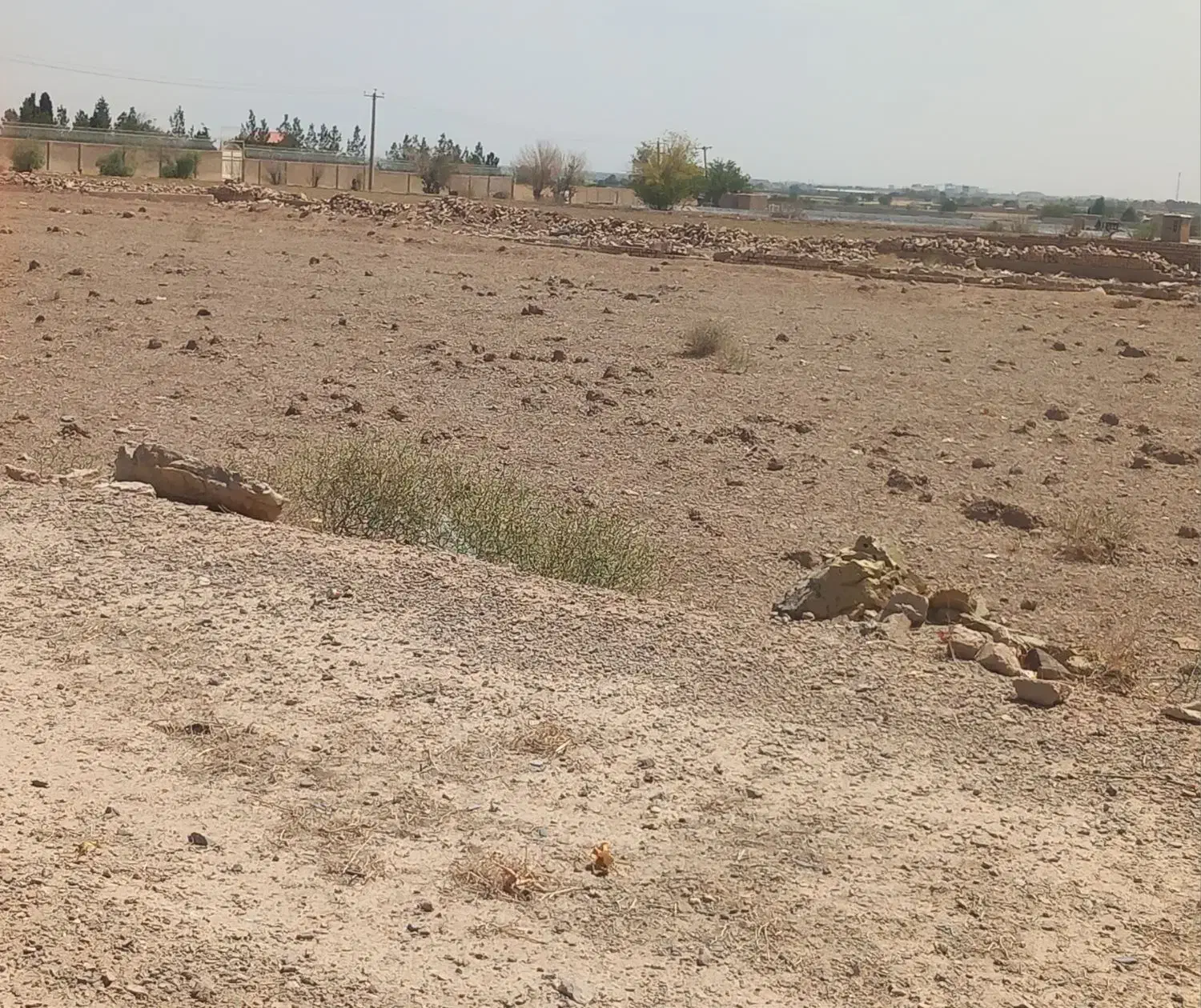 زمین کشاورزی|فروش دفتر صنعتی، کشاورزی، تجاری|اصفهان, سرشبادران|دیوار