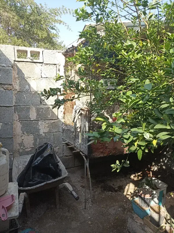 قفس بزرگ|لوازم جانبی حیوانات|بندرعباس, |دیوار