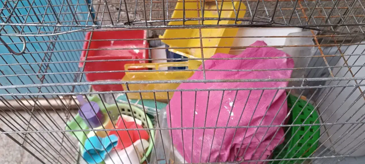 ۲ عدد قفس پرنده همراه با وسایلش|لوازم جانبی حیوانات|بندر ماهشهر, |دیوار