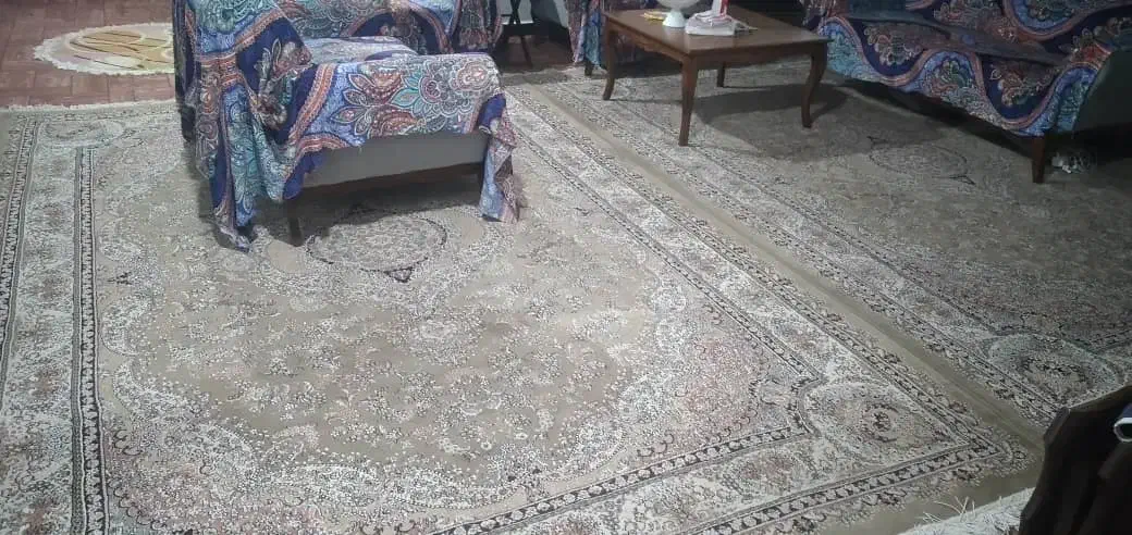 دو تخته فرش سالم|فرش|ماسال, |دیوار