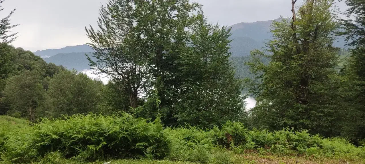 خدمات هتل خانه داری|استخدام سرایداری و نظافت|قشم, |دیوار