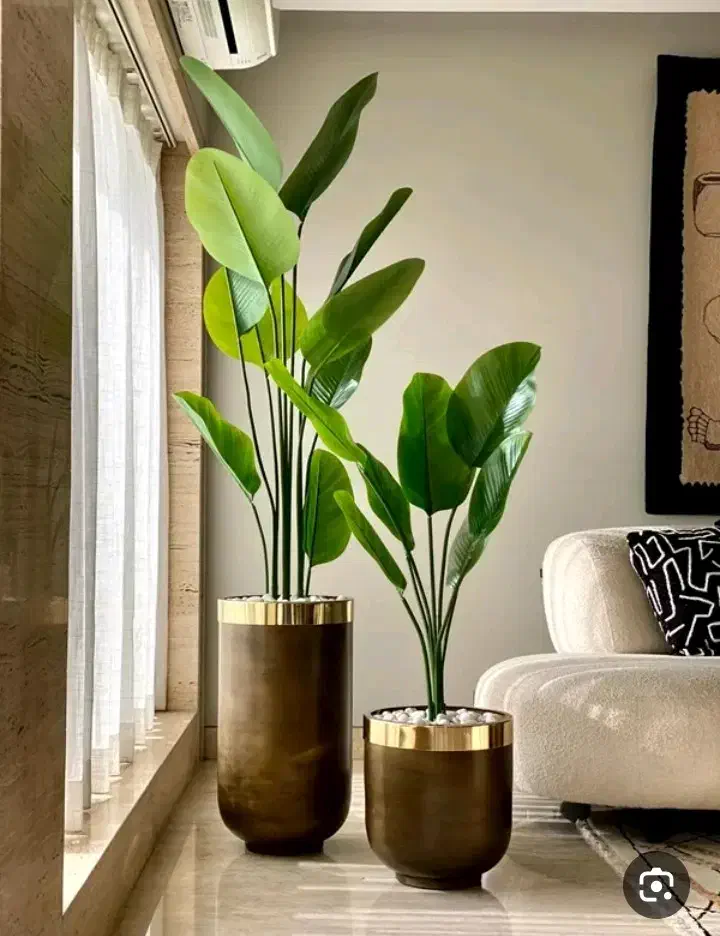 گلدان(نظافت منزل انجام میدم|گل و گیاه طبیعی|کوهدشت, |دیوار