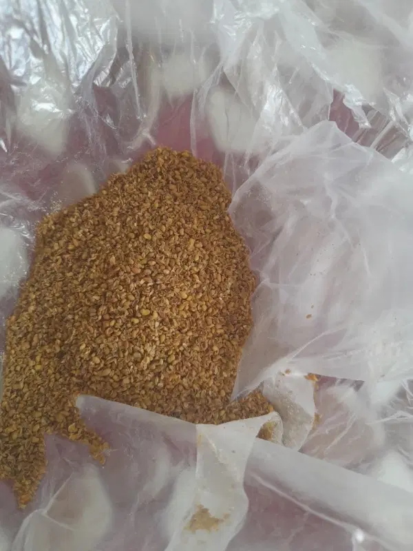 بذر|گل و گیاه طبیعی|الیگودرز, |دیوار