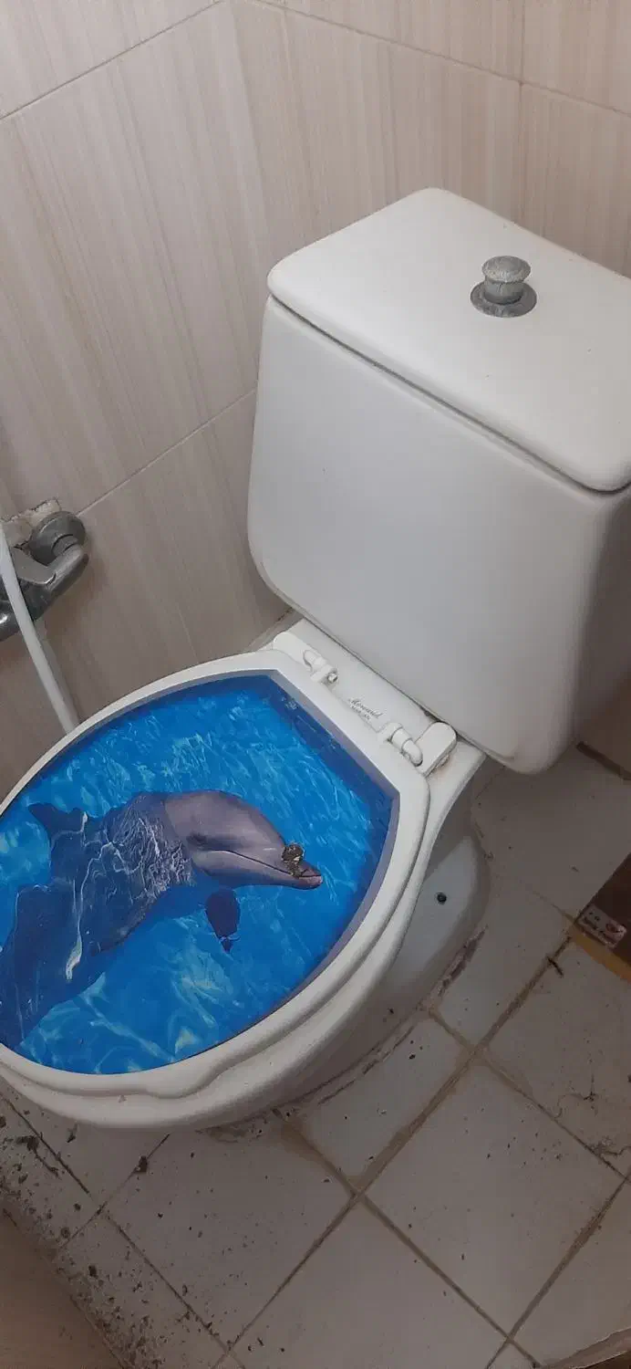 توالت فرنگی|لوازم سرویس بهداشتی|رشت, دیلمان|دیوار