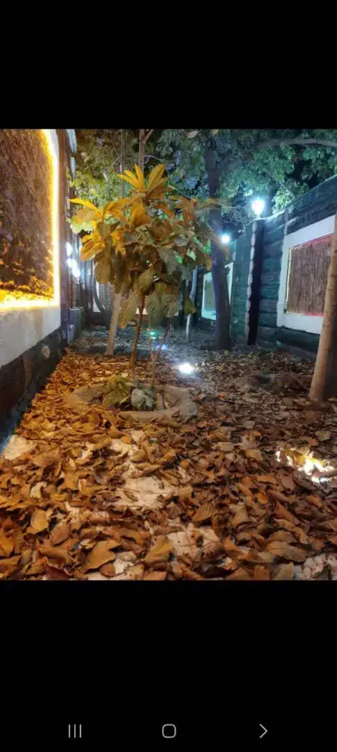 اجاره خانه باغ|اجارهٔ کوتاه‌مدت ویلا و باغ|ایلام, |دیوار