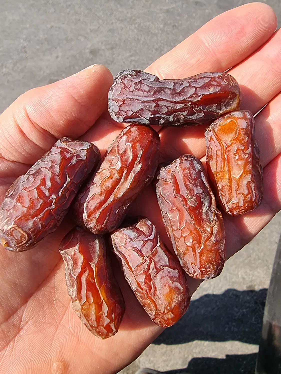 خرما پیارم کیلویی 1 میلیون نخر|خوردنی و آشامیدنی|بندرعباس, |دیوار