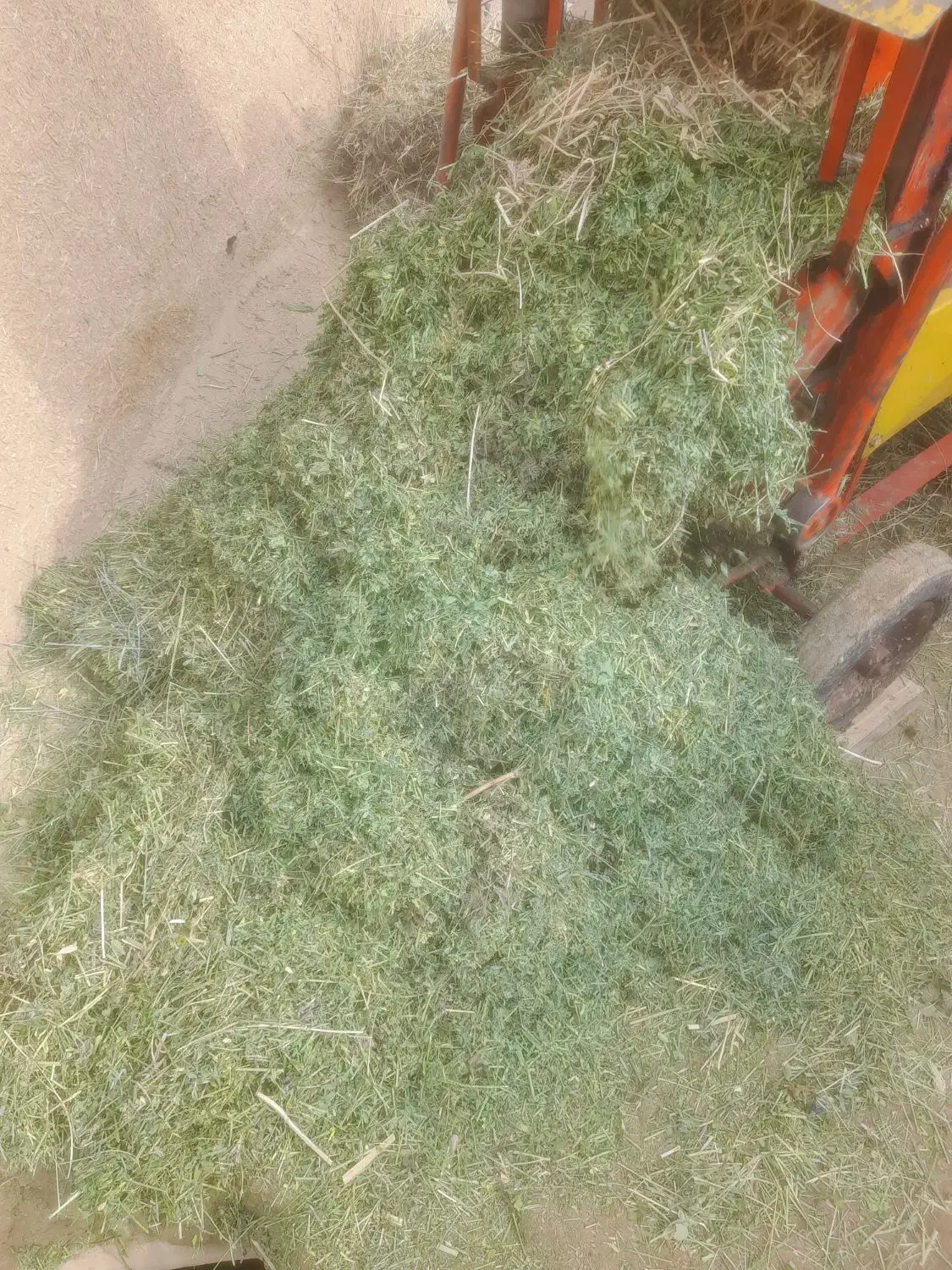 یونجه|لوازم جانبی حیوانات|قیدار, |دیوار