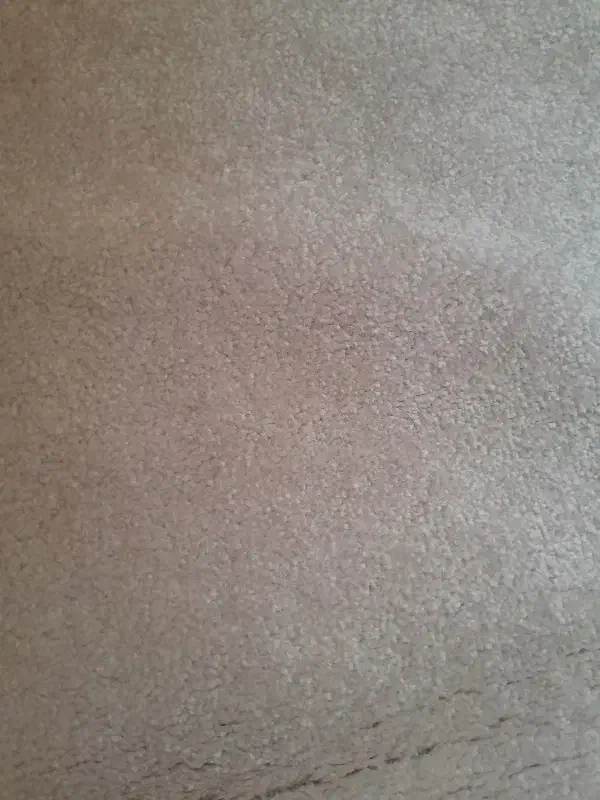 پالاز موکت|موکت|تهران, گلچین|دیوار