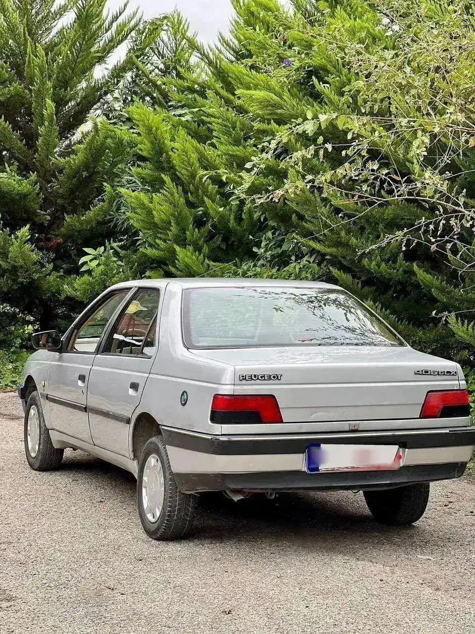 پژو۴۰۵مدل ۹۱سالم دوگانه سی ان جی|خودرو سواری و وانت|رشت, انصاری|دیوار