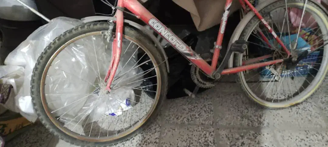 دوچرخه دنده ای|دوچرخه، اسکیت، اسکوتر|نجفآباد, فردوسی شمالی|دیوار