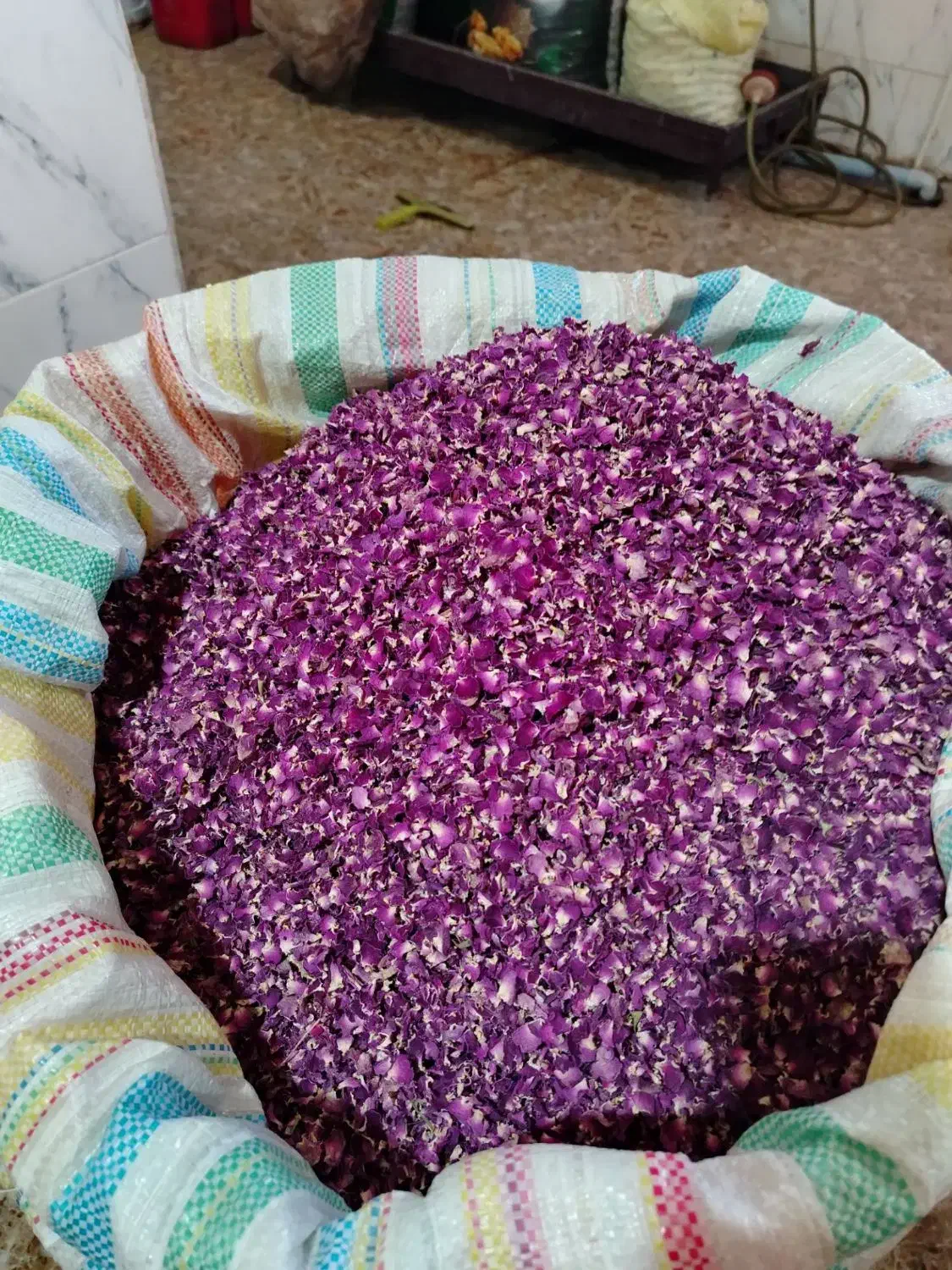 گل محمدی|عمده‌فروشی|آذرشهر, |دیوار