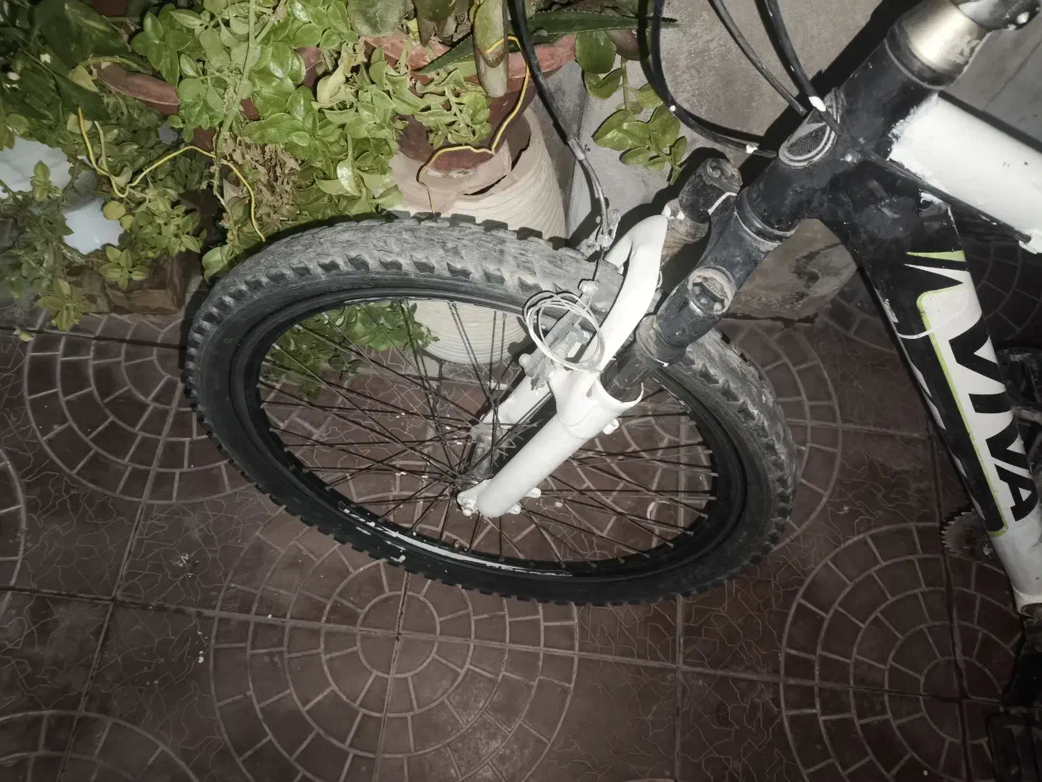 دوچرخه ویوا 26|دوچرخه، اسکیت، اسکوتر|تربت جام, والفجر|دیوار