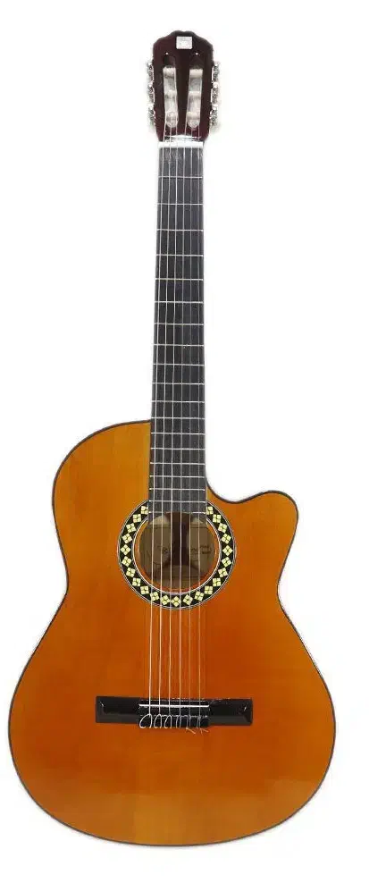 گیتار دیاموند|گیتار، بیس، امپلیفایر|رباط‌کریم, رباط‌کریم|دیوار