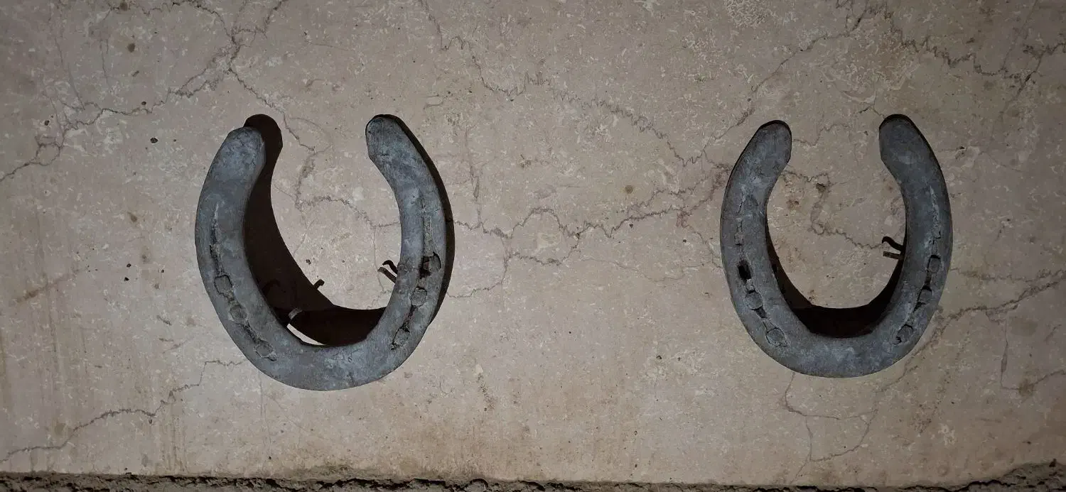 نعل اسب|کلکسیون اشیاء عتیقه|صفادشت, |دیوار