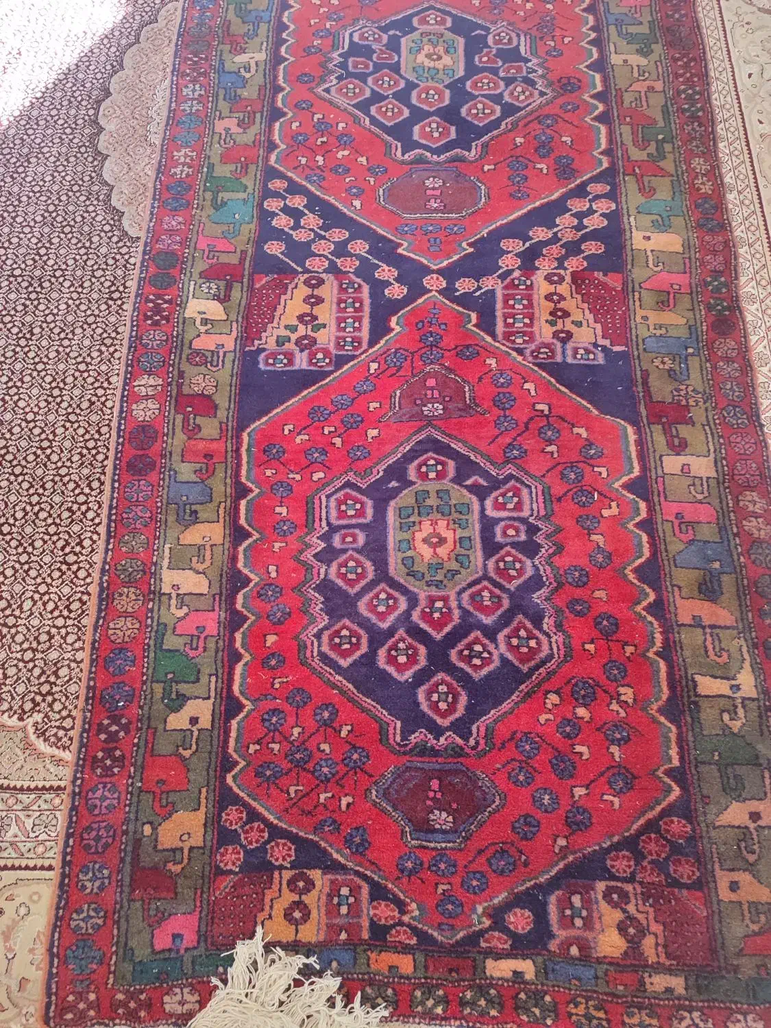 فرش قرمز|فرش|مراغه, |دیوار