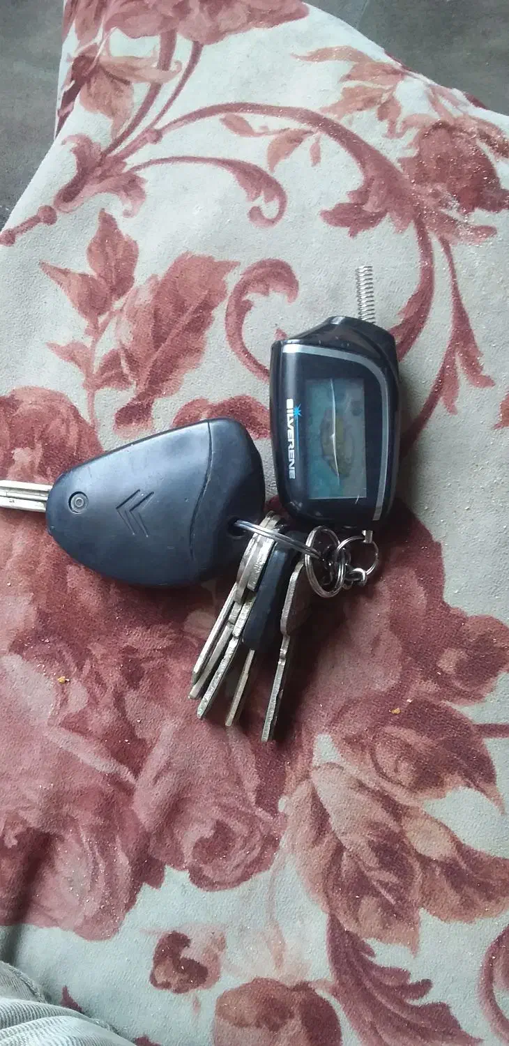 ریموت ودسته کلید به همراه سویج ماشین پیدا شده|اشیا|کرج, حصارک پایین|دیوار