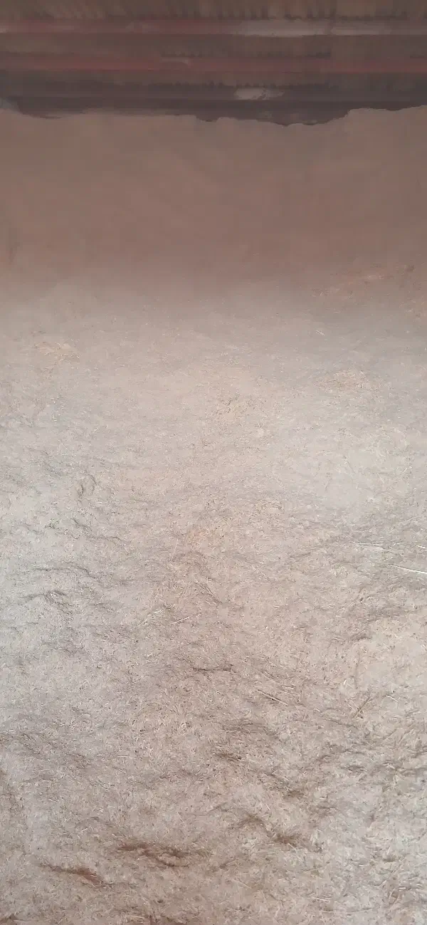 کاه خرمن کوب|لوازم جانبی حیوانات|دورود, |دیوار