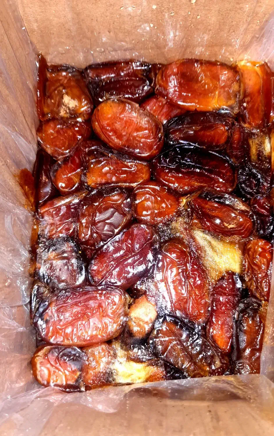خرما|خوردنی و آشامیدنی|شیراز, شهرک مدرس|دیوار