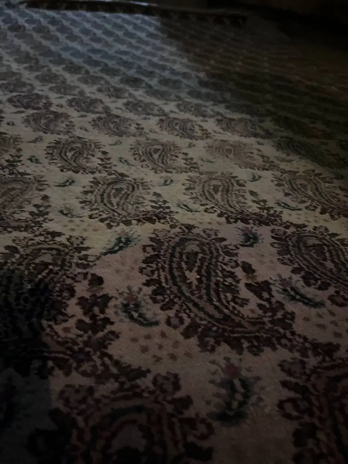 فرش دست بافت ابریشم|فرش|جهرم, |دیوار