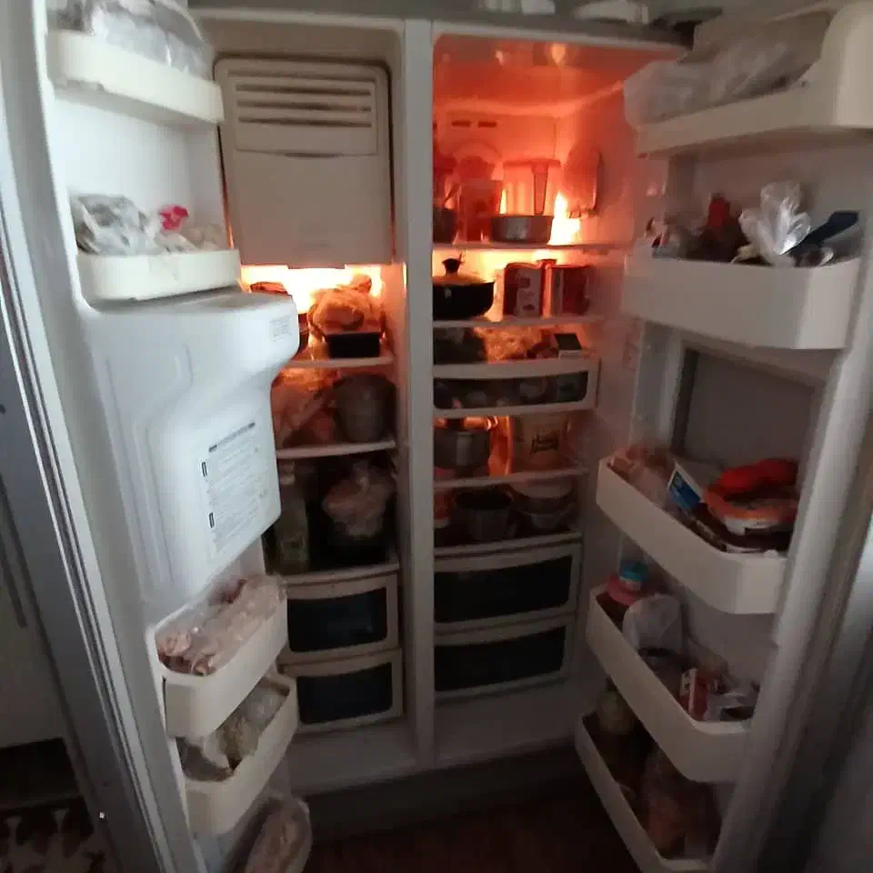 یخچال دوو|یخچال و فریزر|چغادک, |دیوار