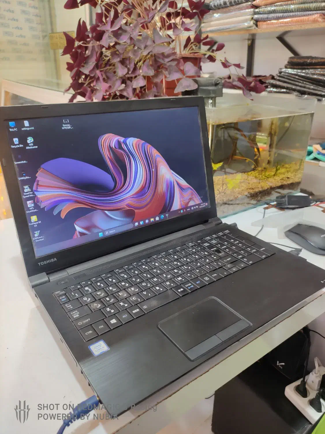 لپ تاپ  Toshiba Dynabook|رایانه همراه|پیرانشهر, |دیوار