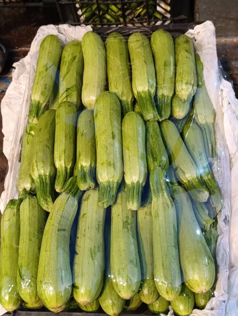 کدو خورشتی|خوردنی و آشامیدنی|اصفهان, ارغوانیه|دیوار