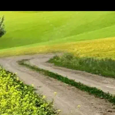 آب و زمین|فروش زمین و ملک کلنگی|فیروزه, |دیوار