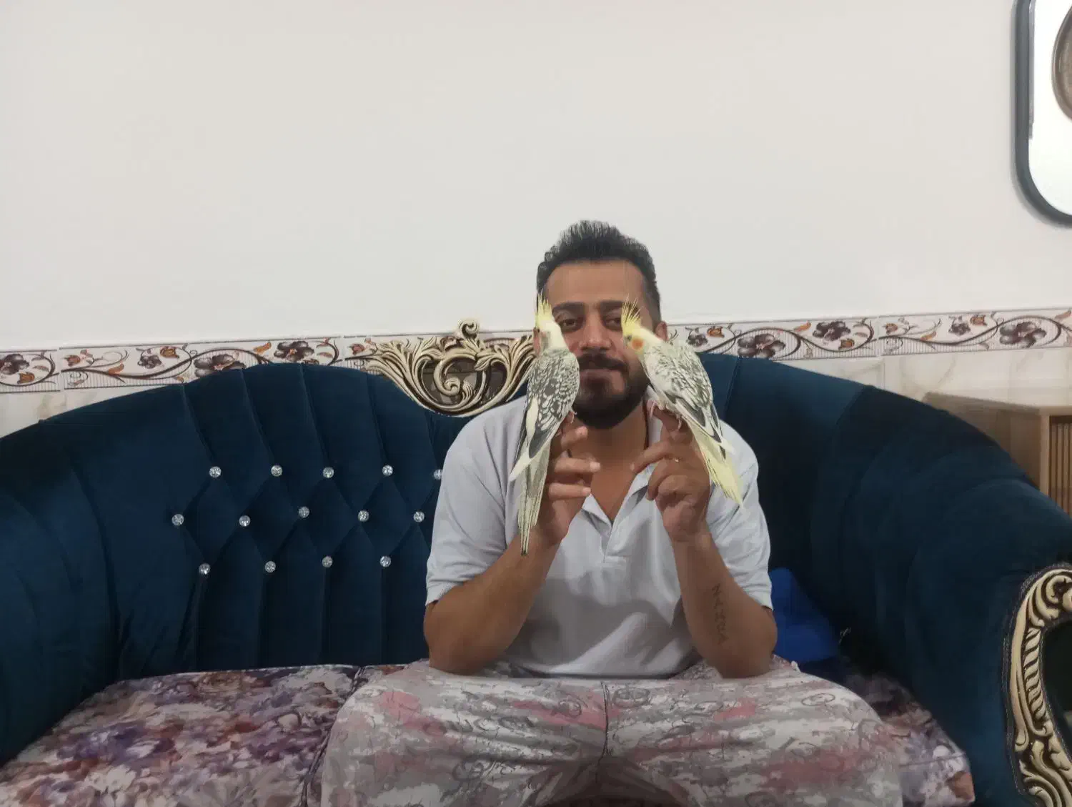 ی جفت نروماده به فروش میرسد|پرنده|شهریار, شهرک مصطفی خمینی|دیوار