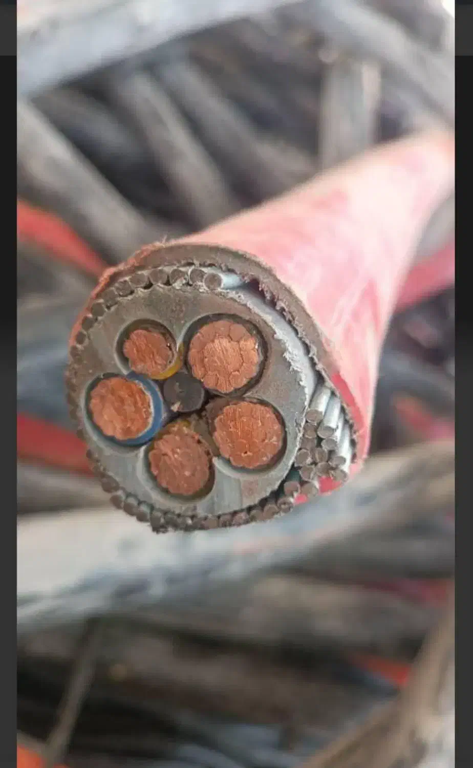 خرید عمده ضایعات آهن آلات شرکت ها|خدمات پیشه و مهارت|شیراز, شهرک گلها|دیوار