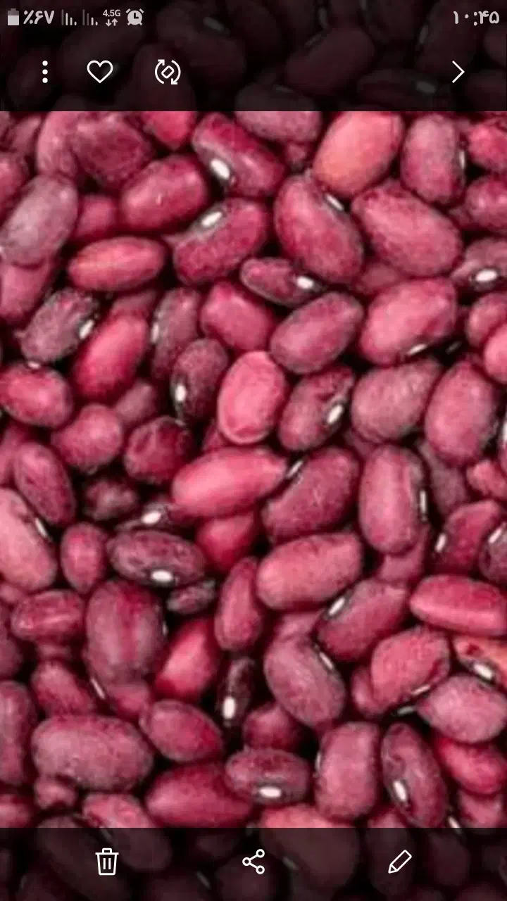 لوبیا|خوردنی و آشامیدنی|قره پشتلو, |دیوار