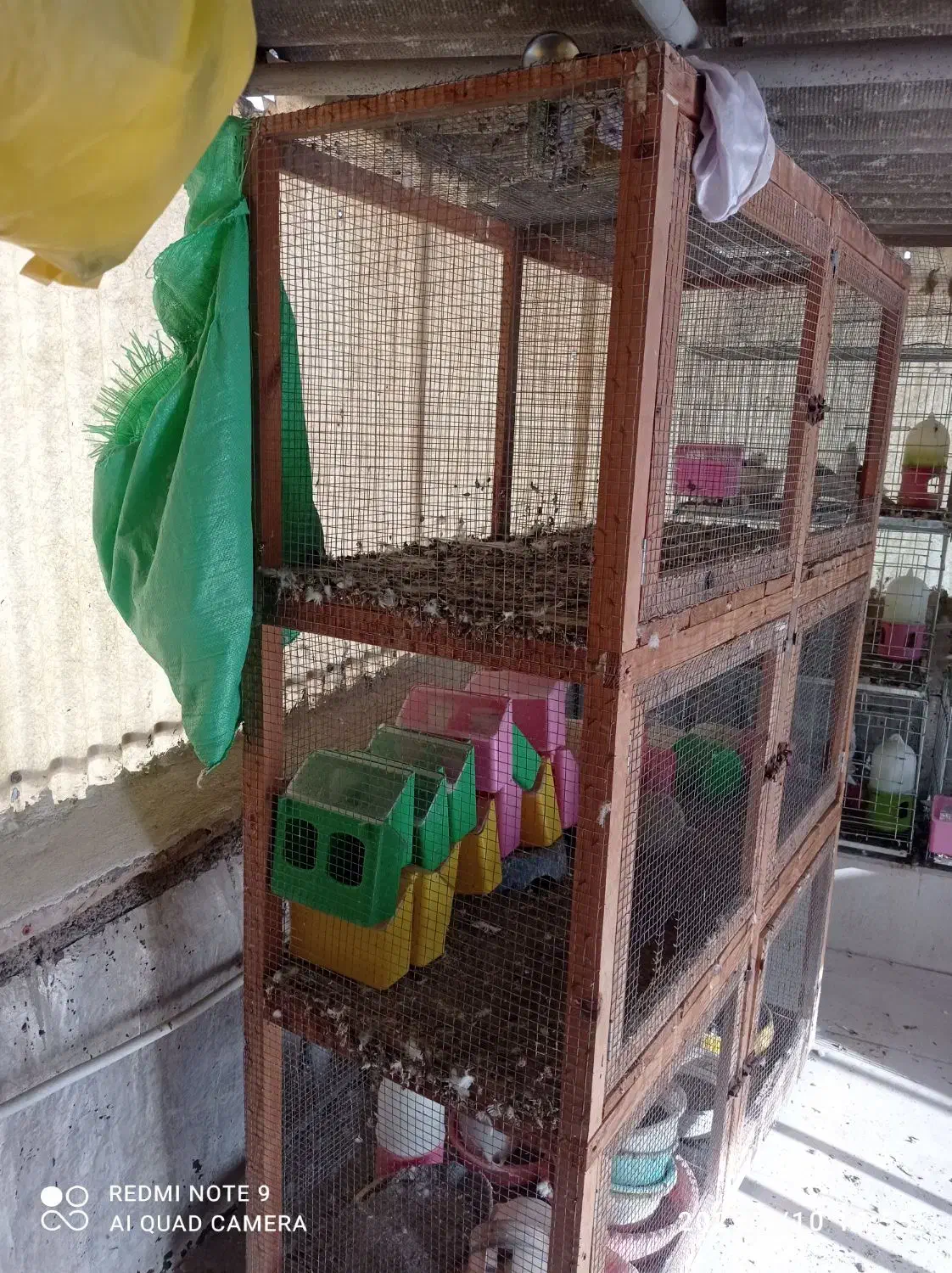 قفس جفت خون|لوازم جانبی حیوانات|بوشهر, |دیوار